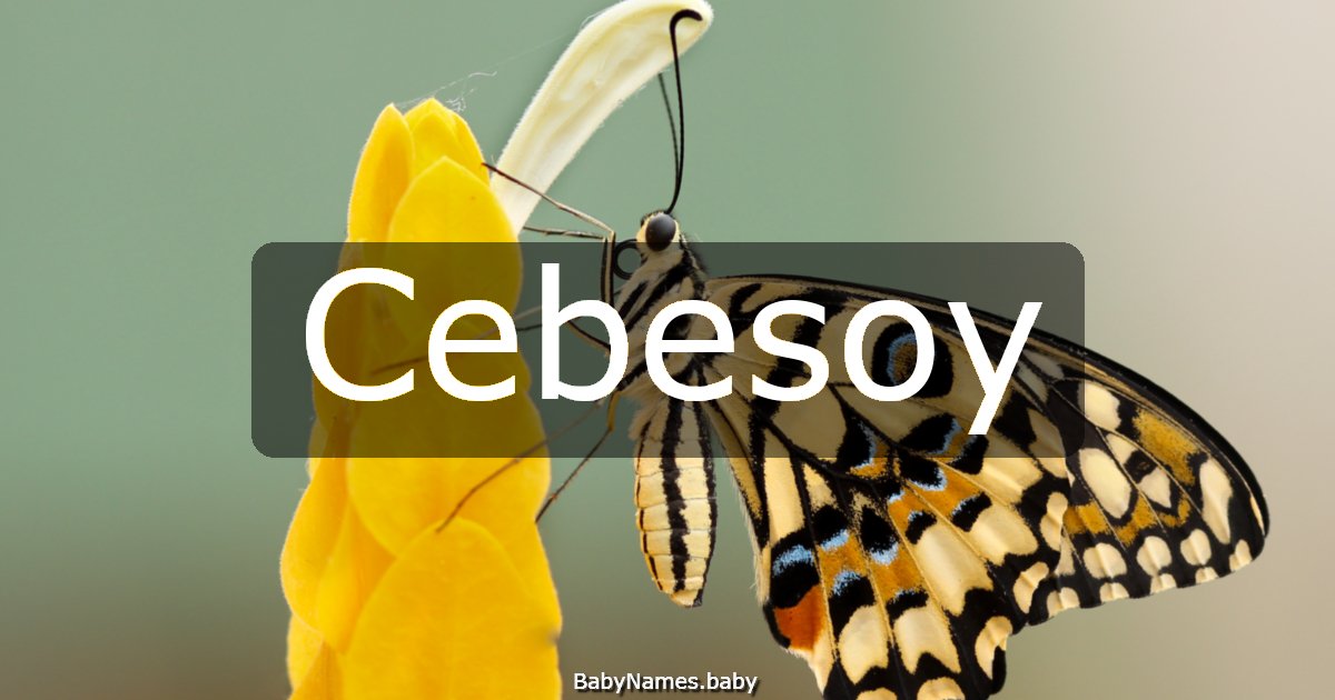 Cebesoy