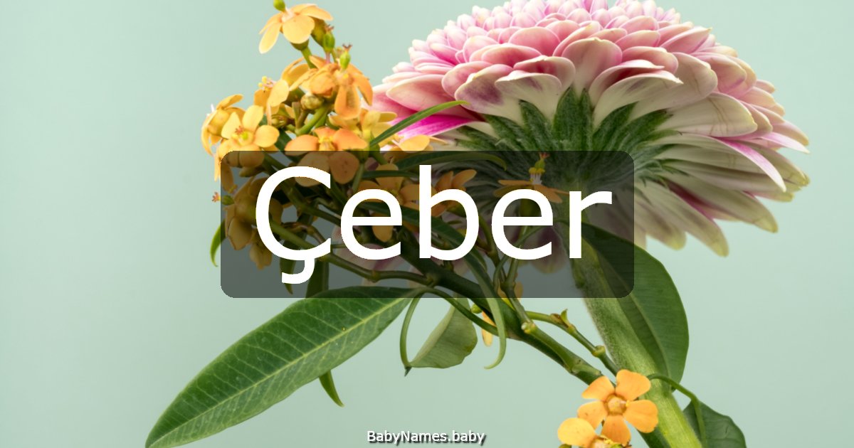 Çeber