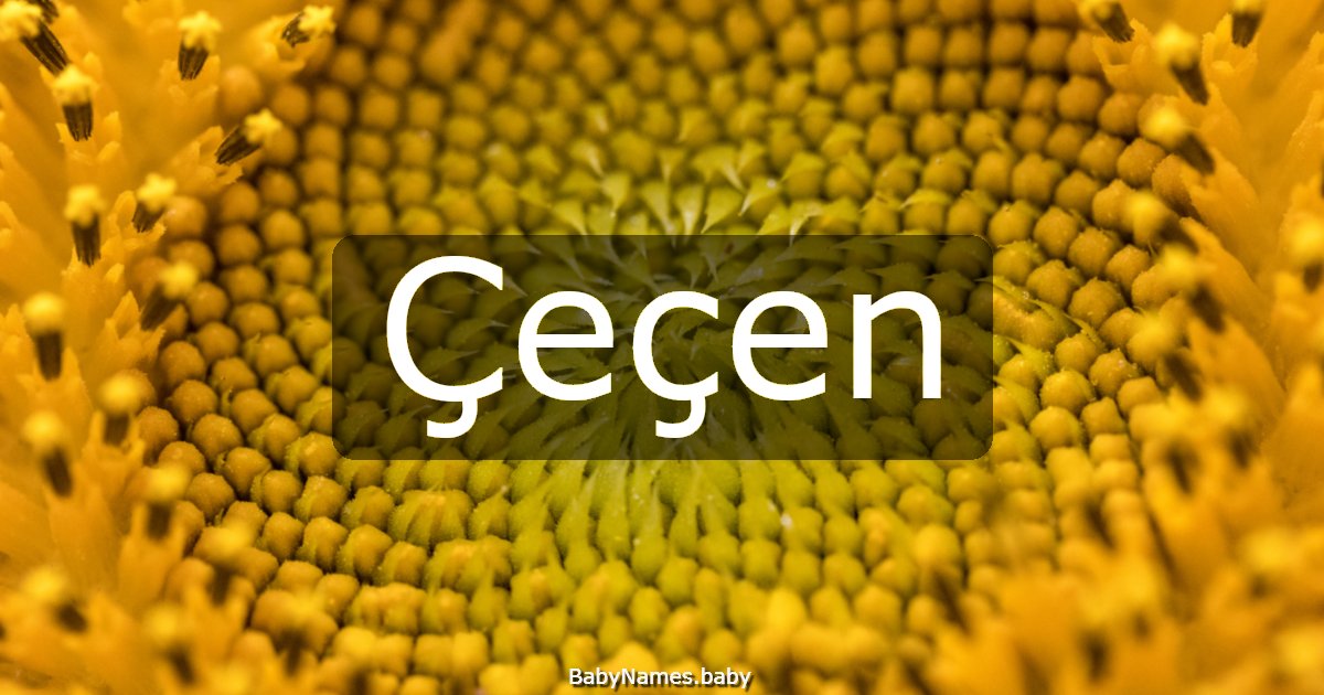 Çeçen