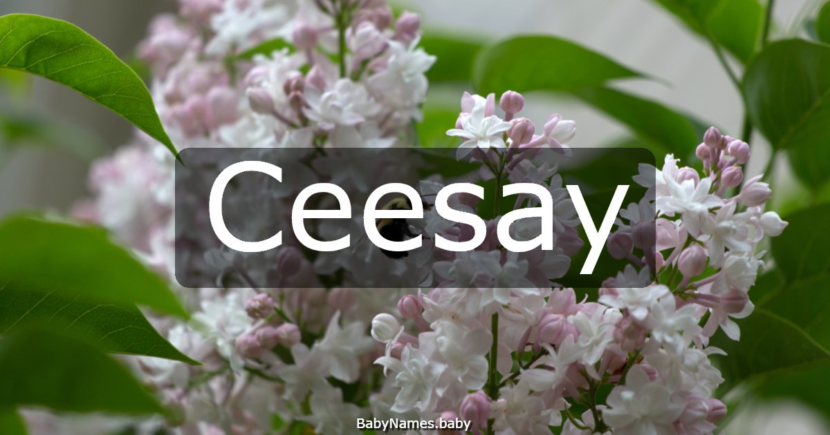 Ceesay