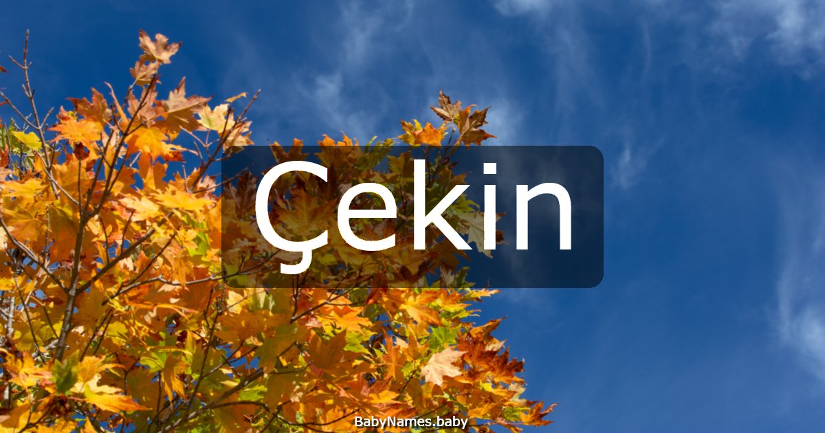 Çekin