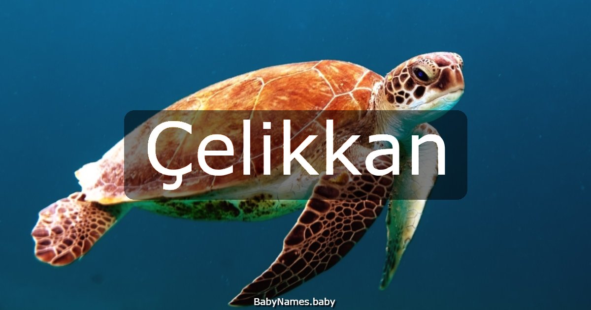 Çelikkan