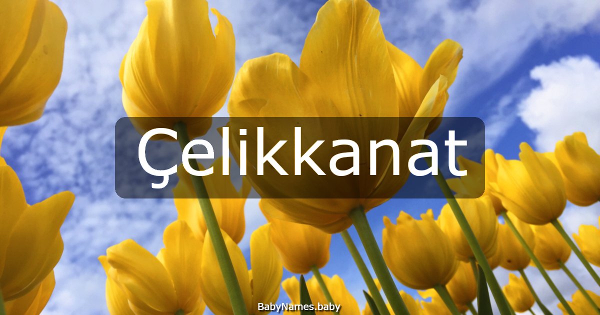 Çelikkanat