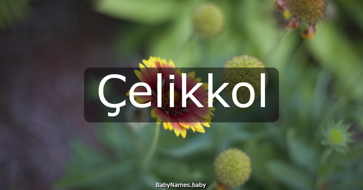 Çelikkol
