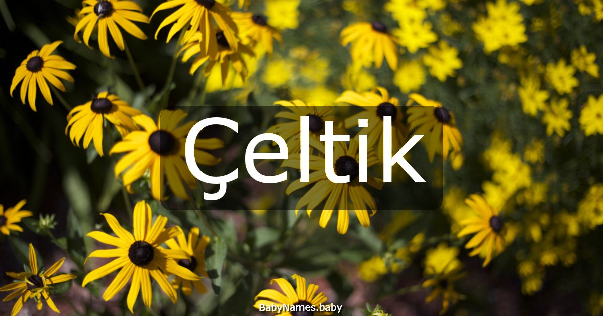 Çeltik