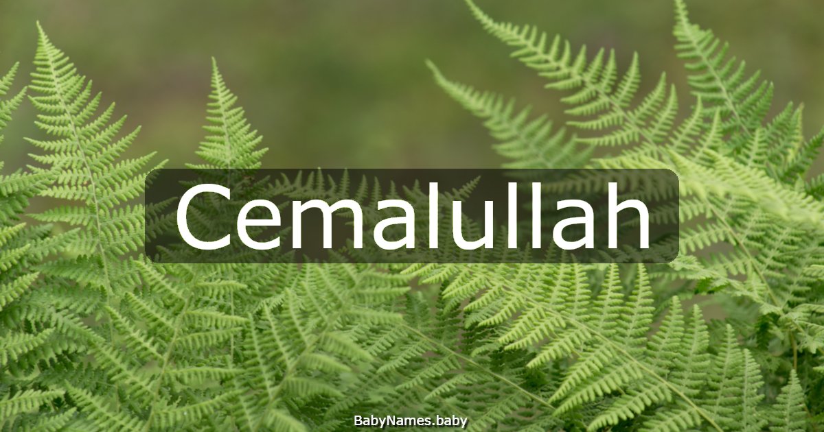 Cemalullah