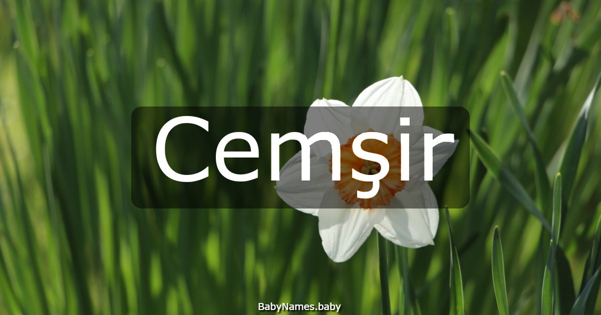 Cemşir