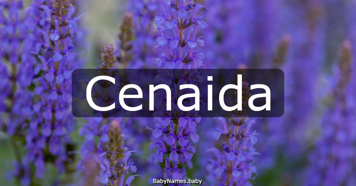 Cenaida