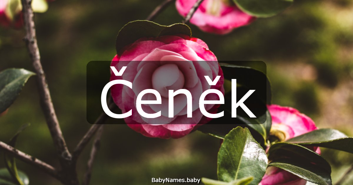 Čeněk
