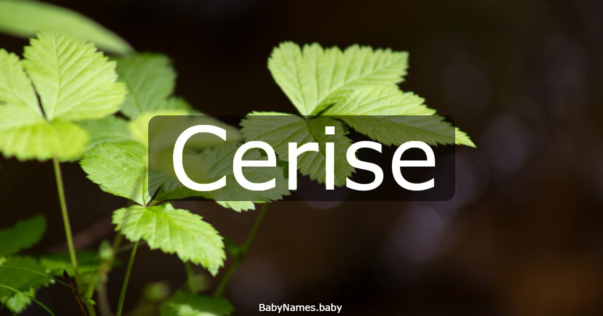 Cerise