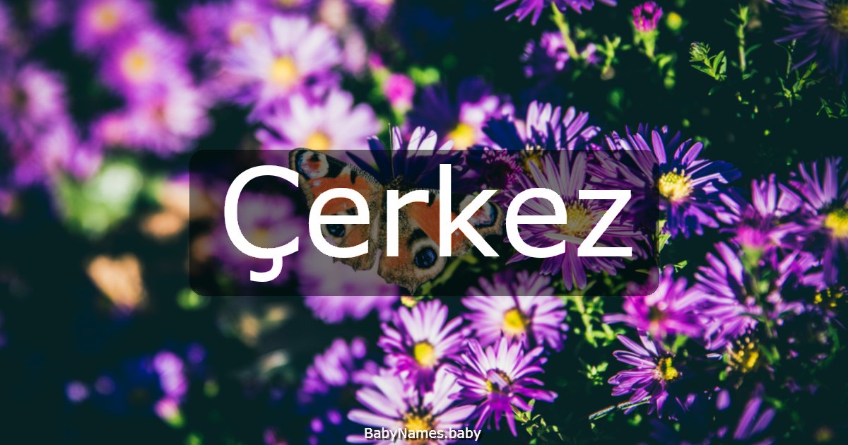 Çerkez