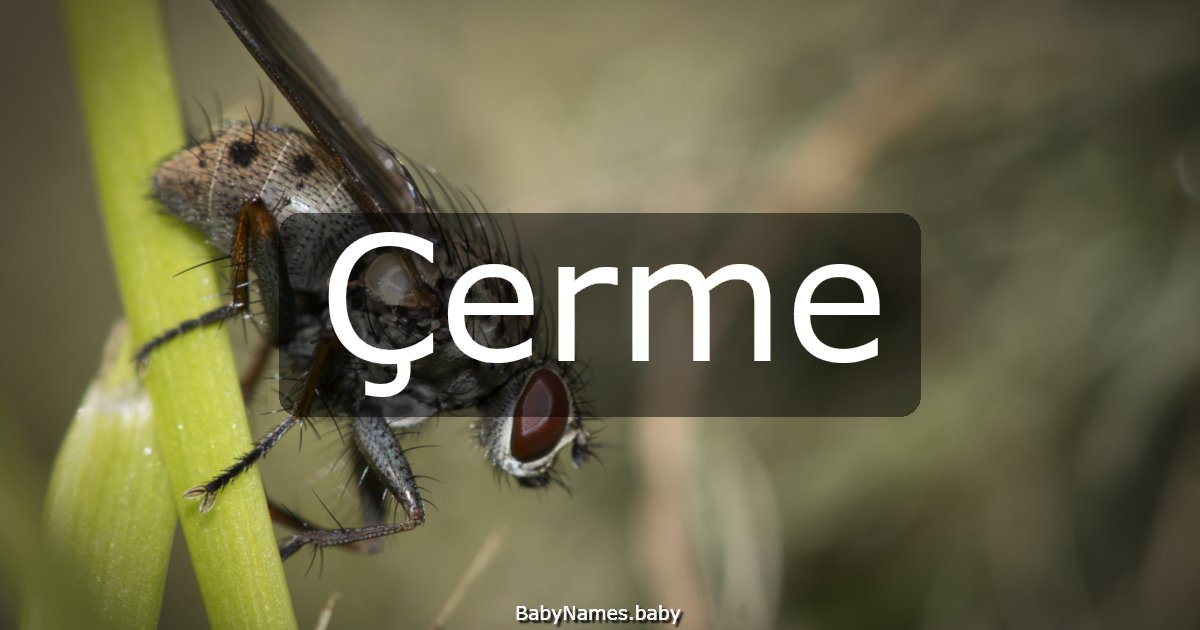 Çerme