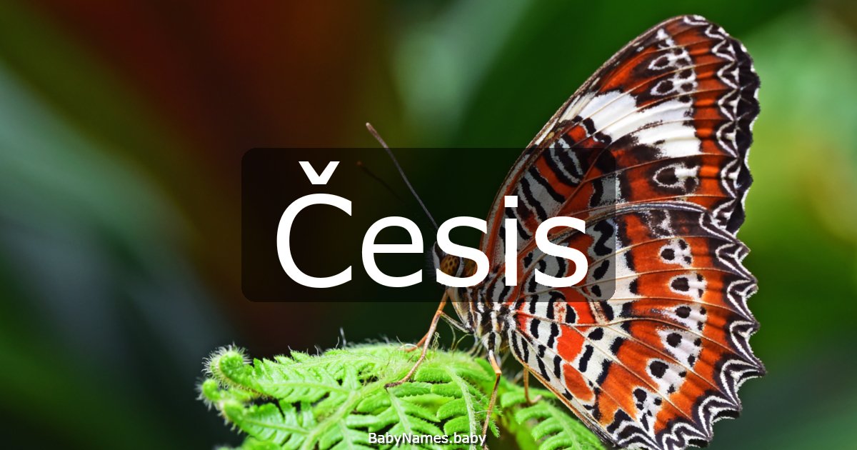 Česis