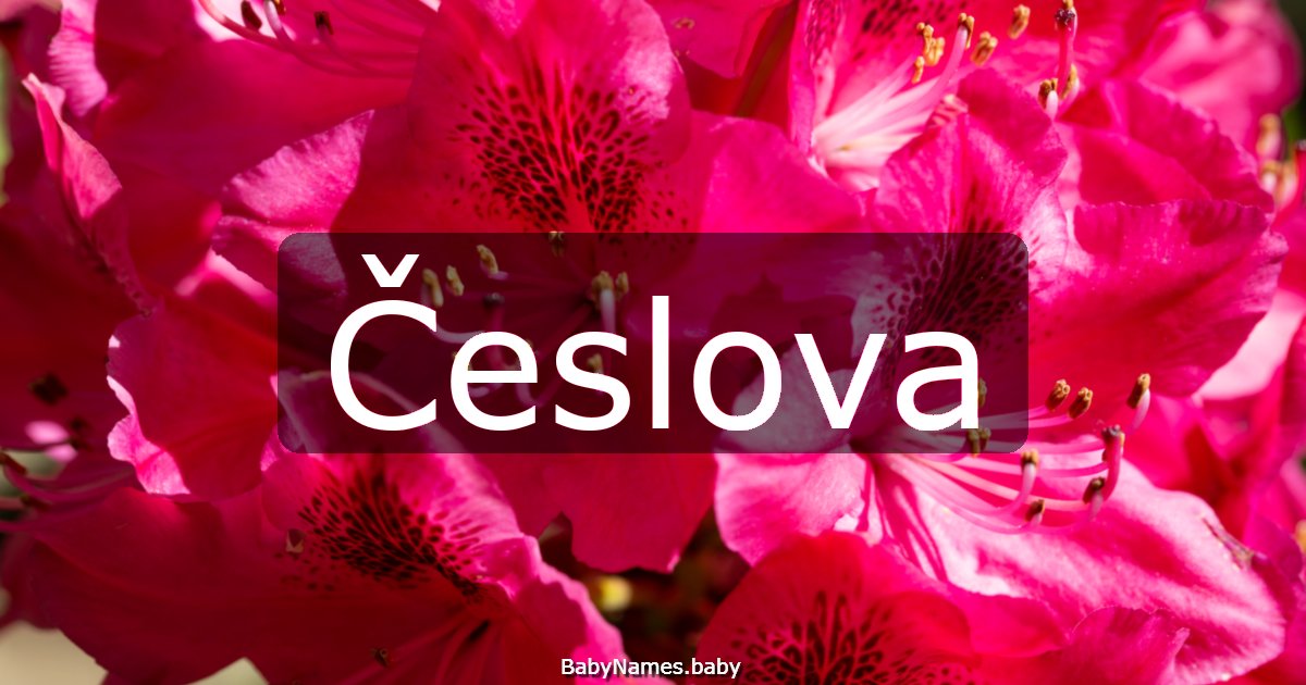 Česlova