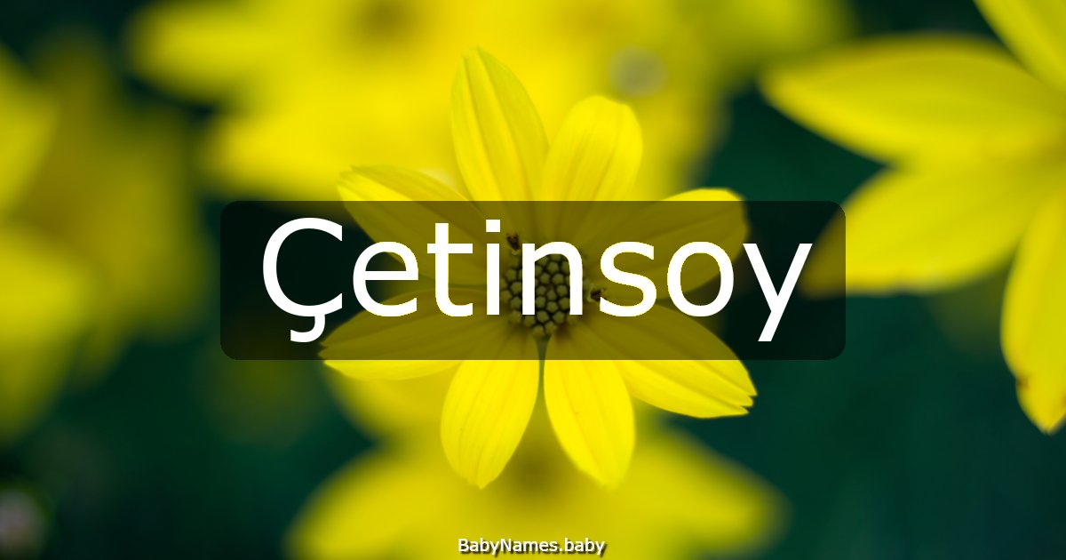 Çetinsoy