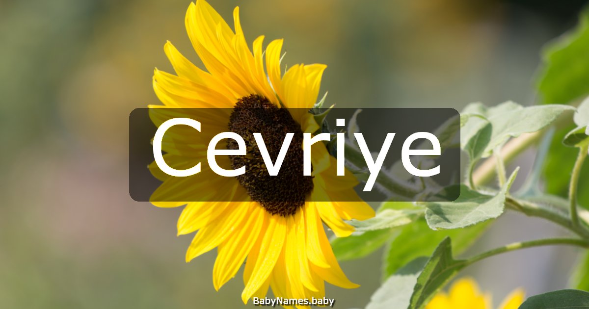 Cevriye