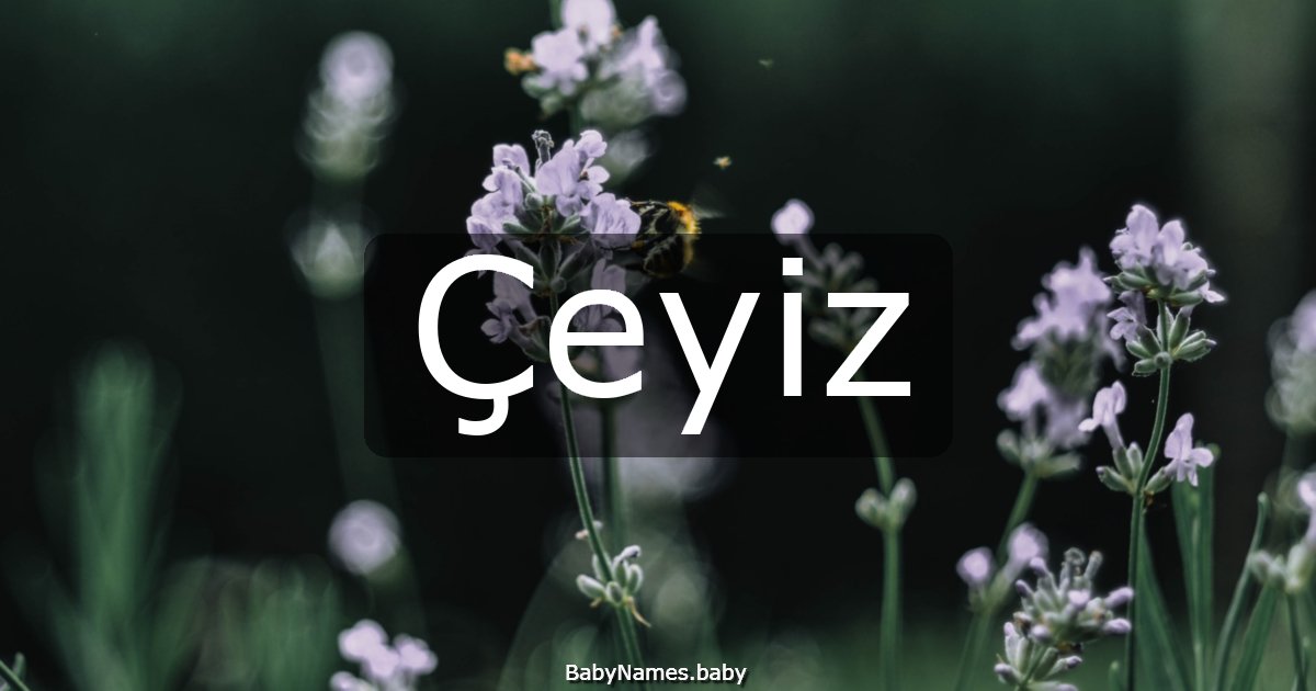 Çeyiz