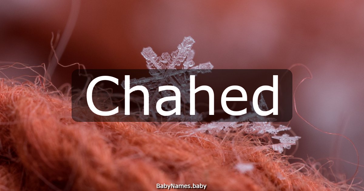 Chahed