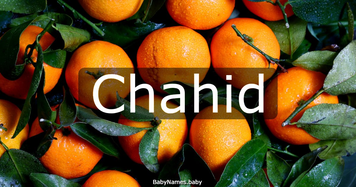 Chahid