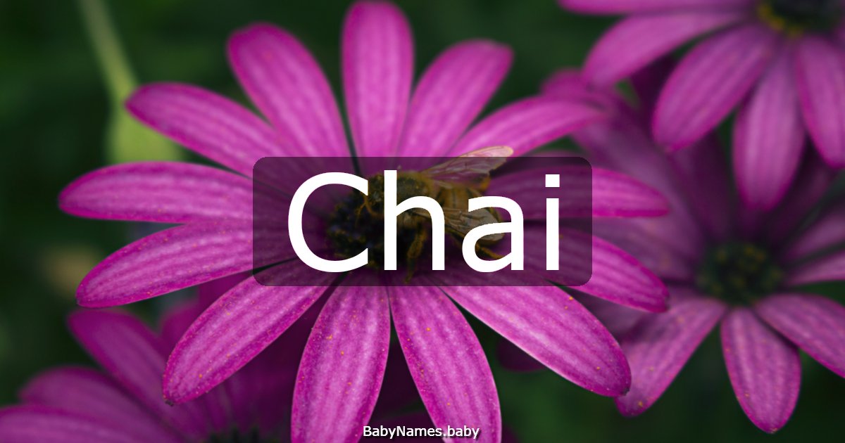 Chai