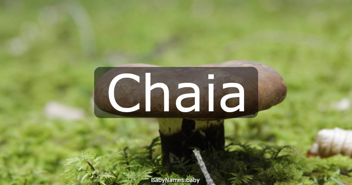 Chaia