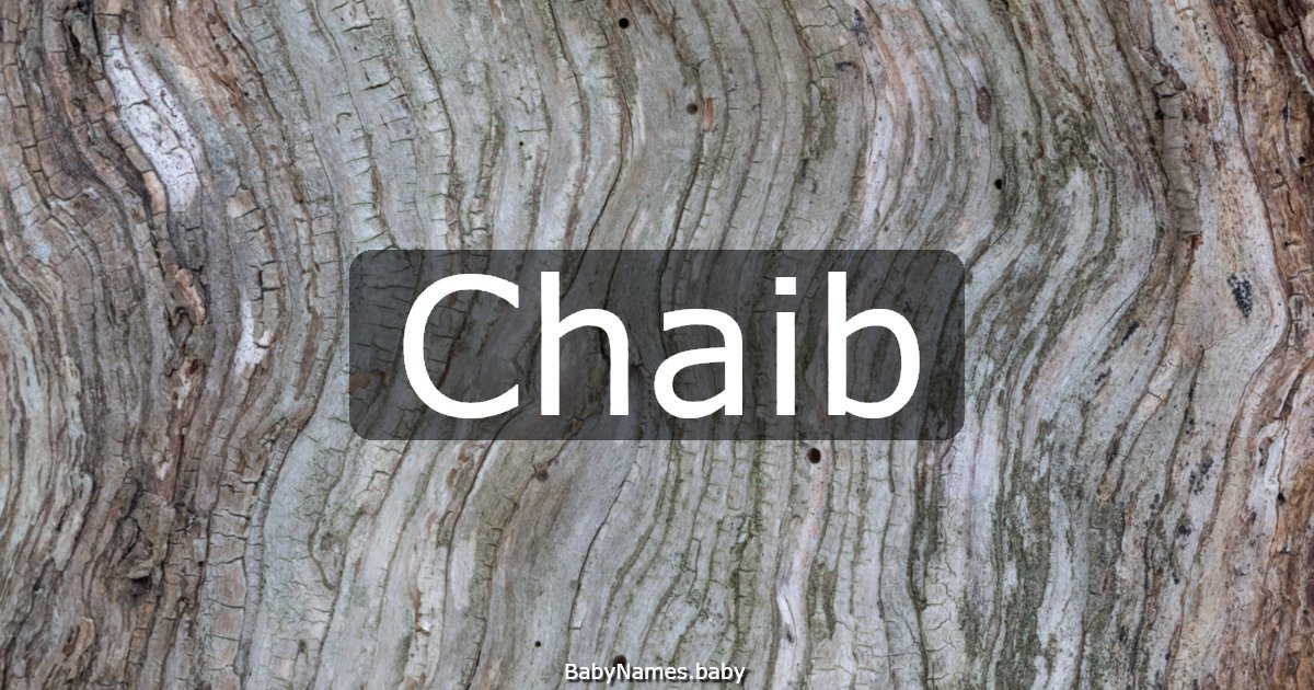 Chaib
