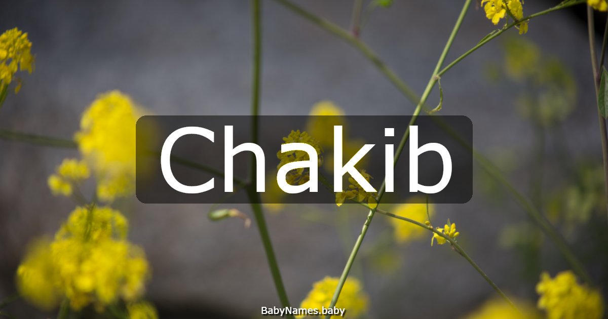 Chakib
