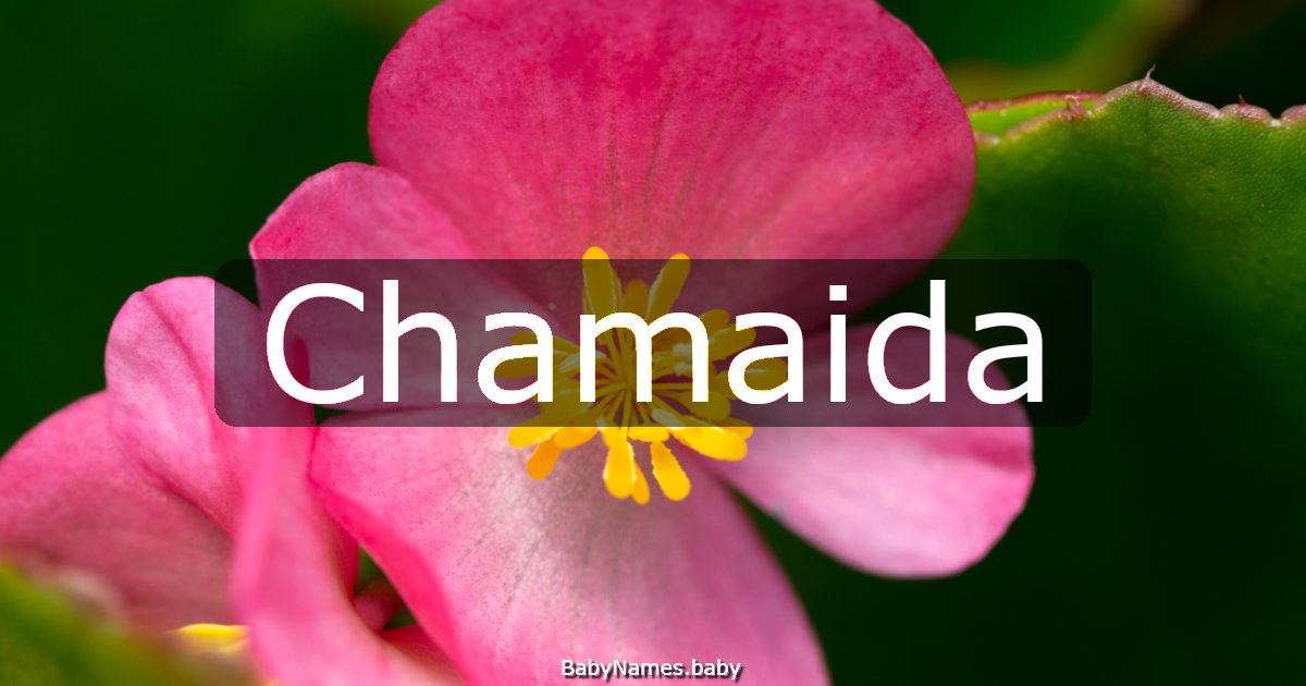 Chamaida