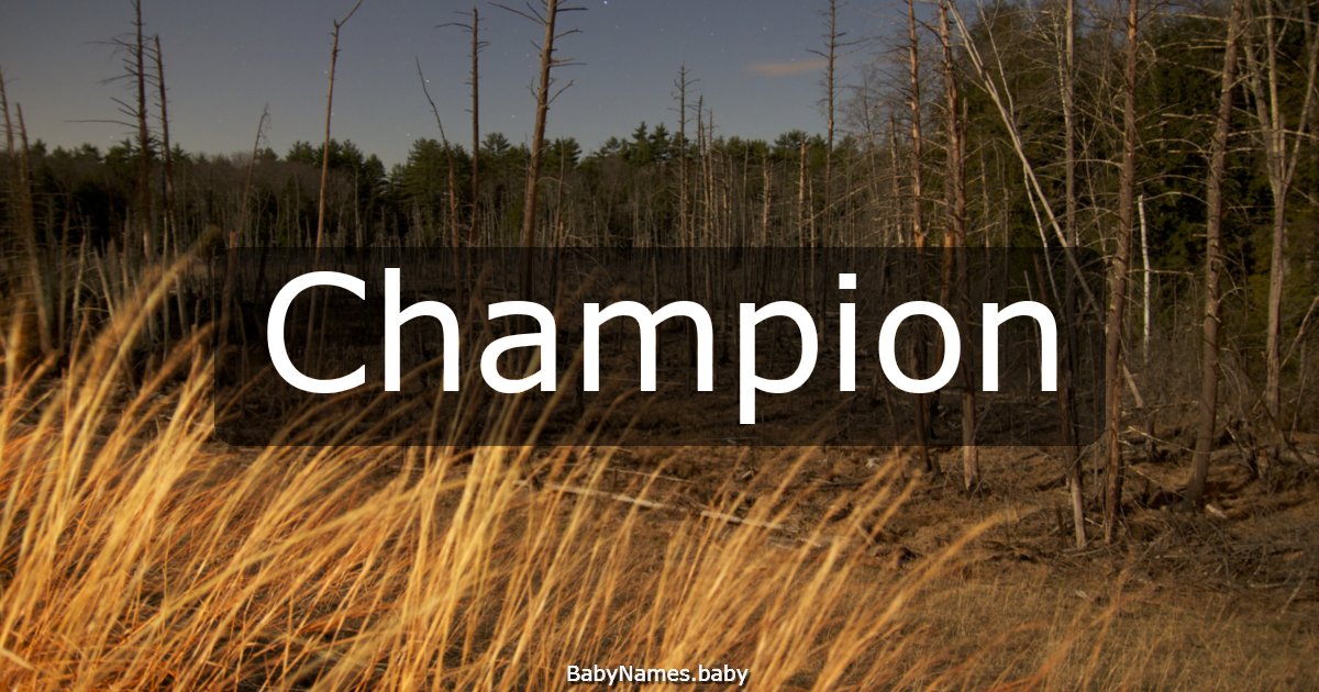 Champion