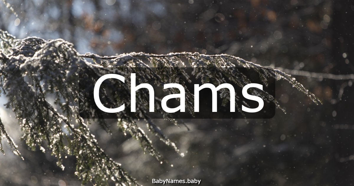 Chams