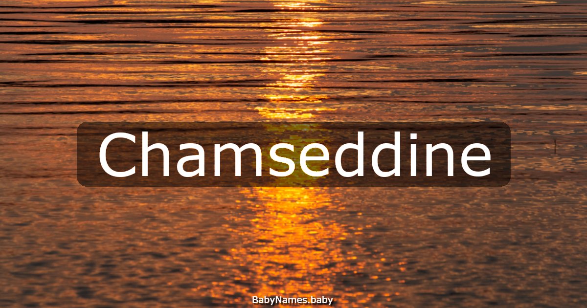 Chamseddine