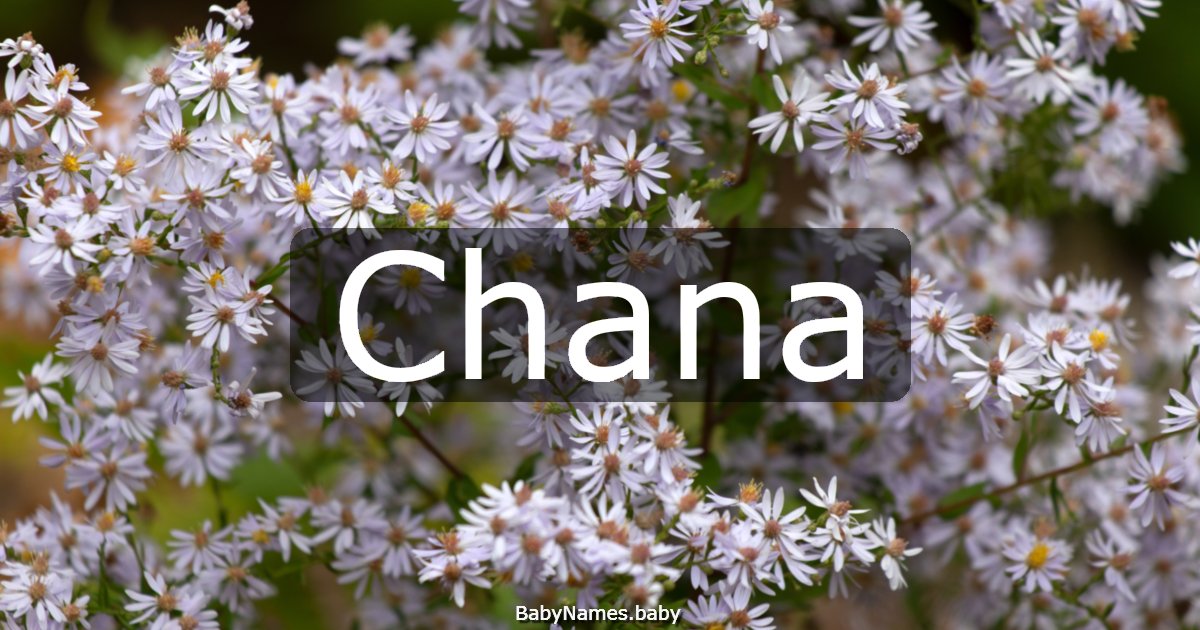 Chana