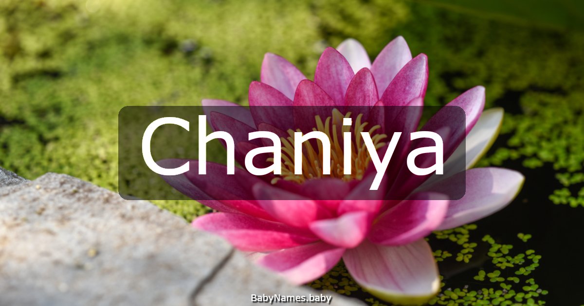 Chaniya