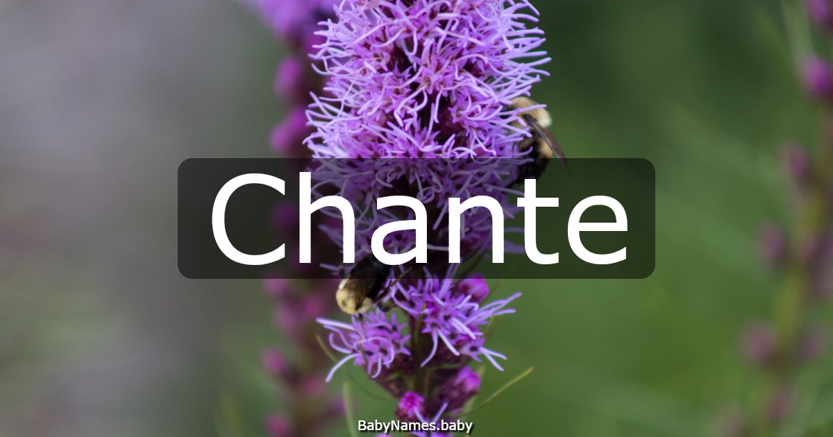 Chante