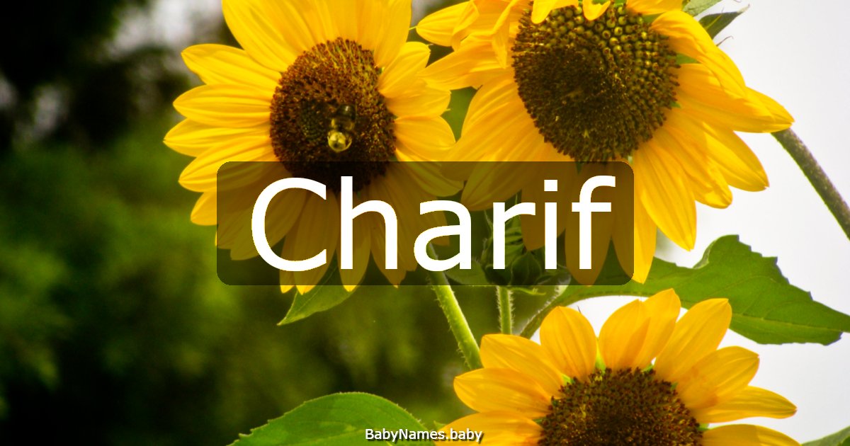Charif