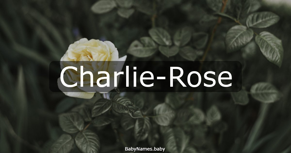 Charlie-Rose