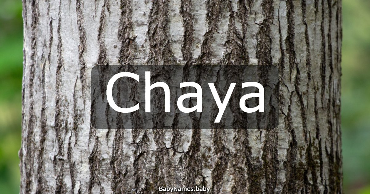 Chaya