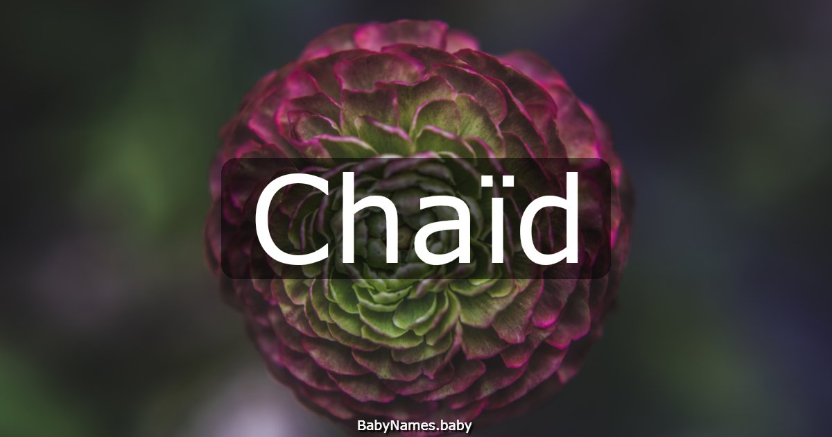 Chaïd