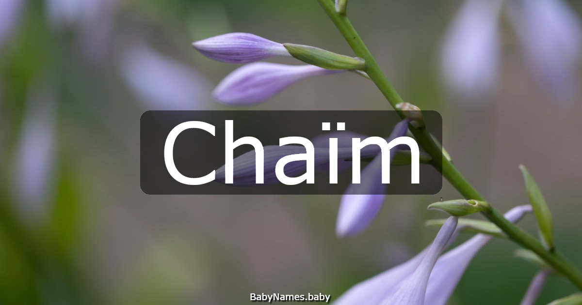 Chaïm