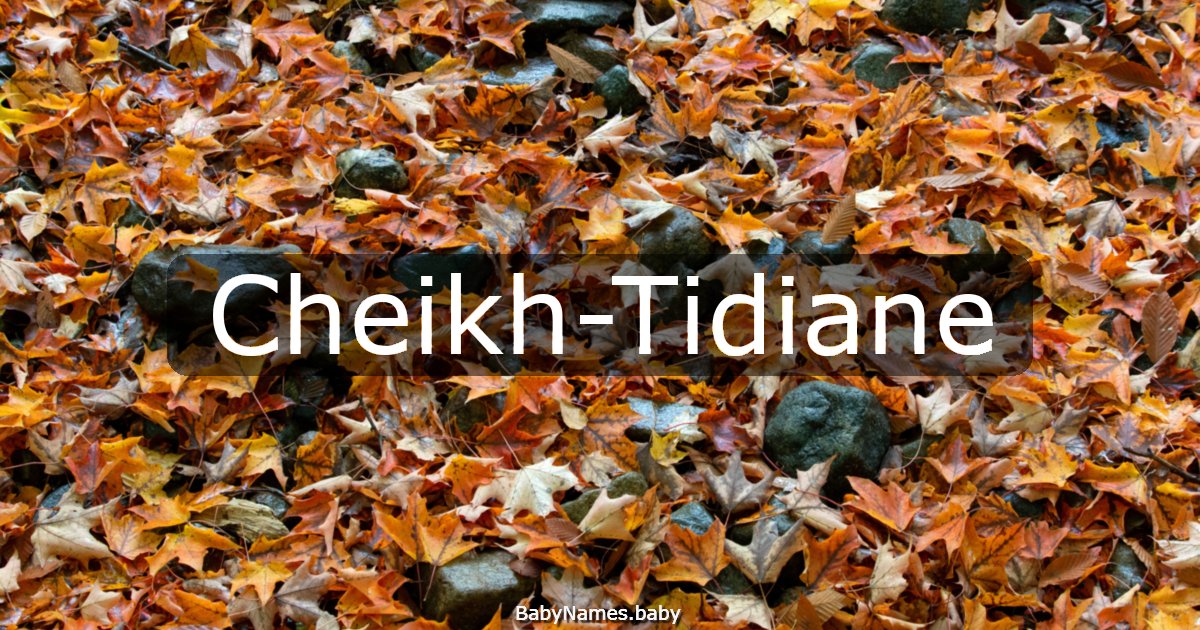 Cheikh-Tidiane