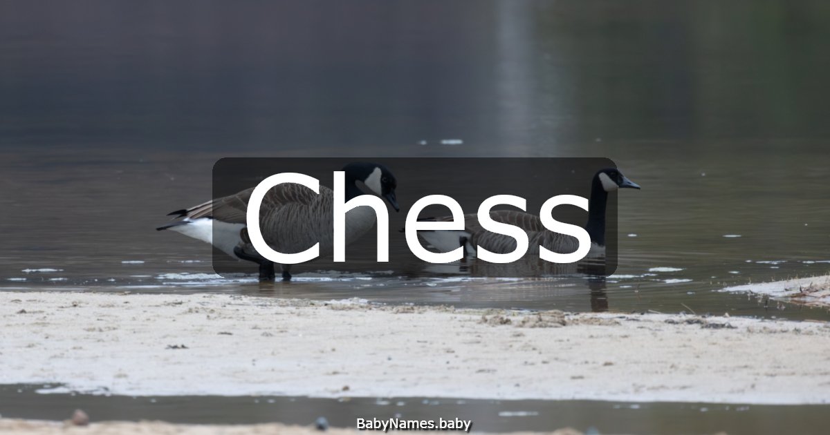 Chess
