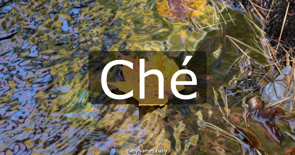 Ché