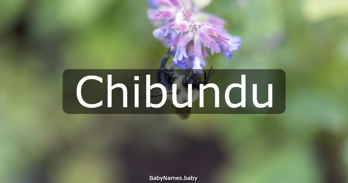 Chibundu