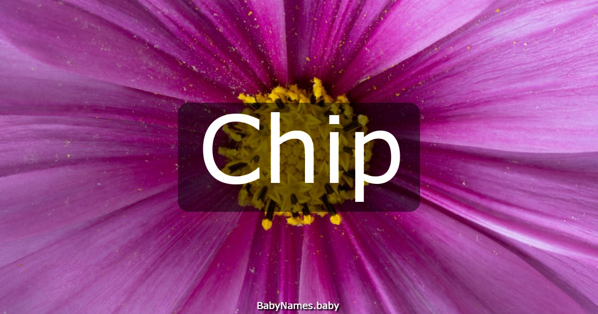 Chip