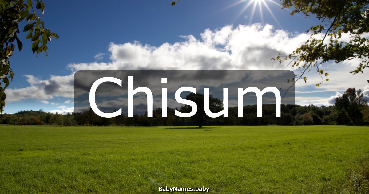 Chisum