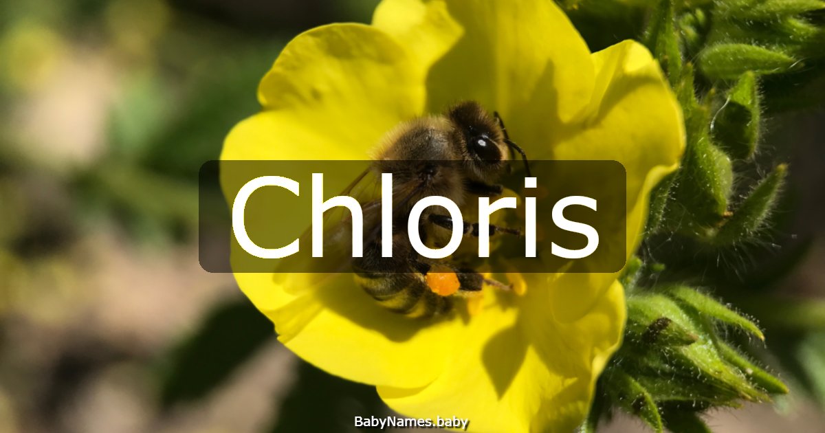 Chloris
