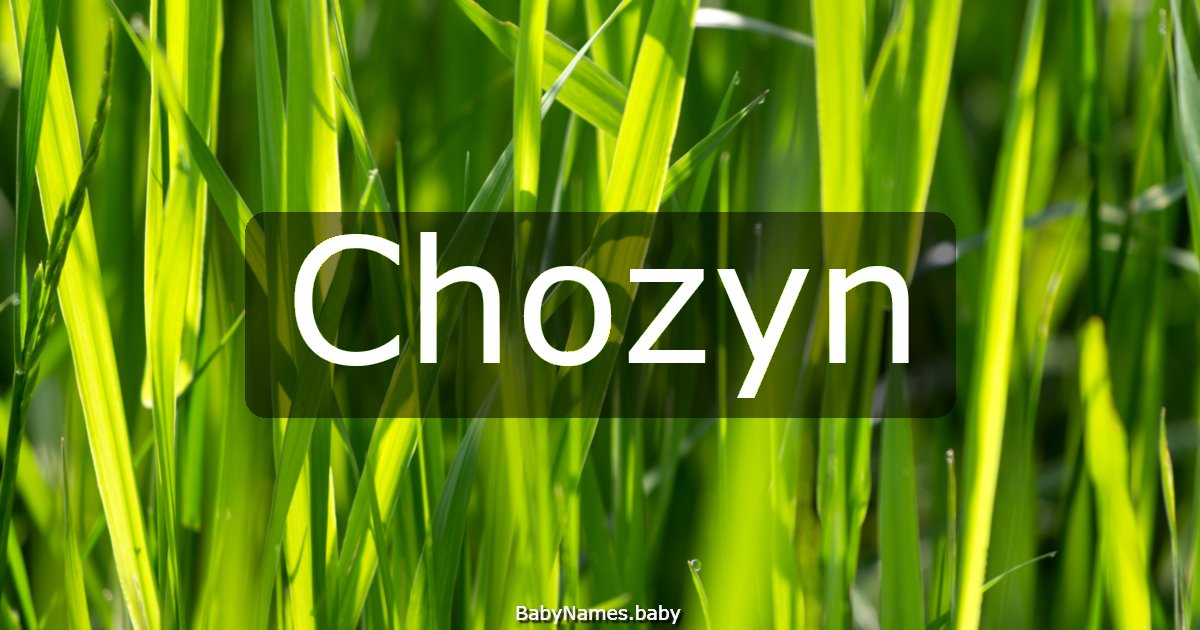 Chozyn