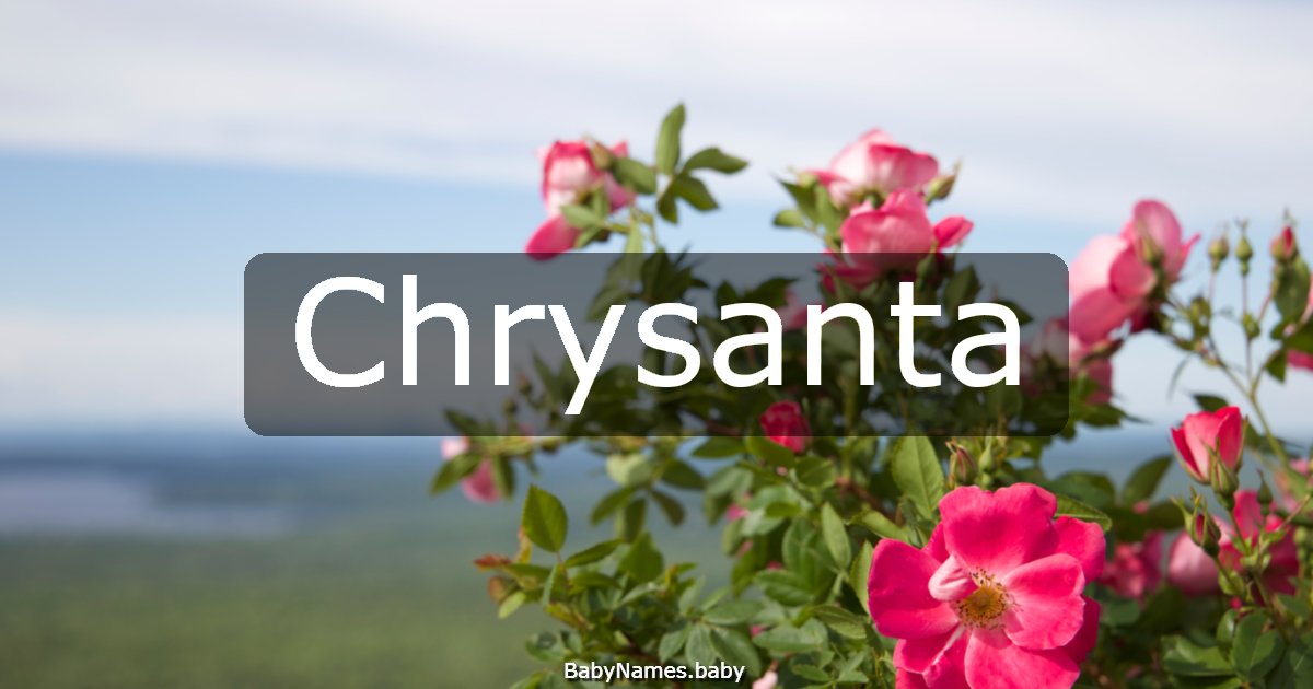 Chrysanta