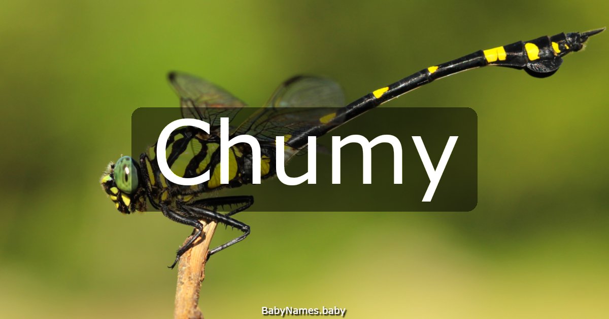 Chumy