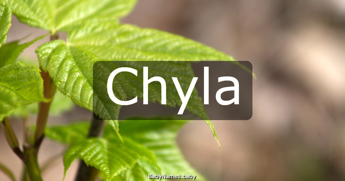 Chyla